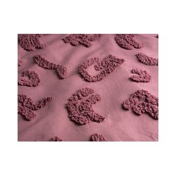 Funda De Duvet Berry